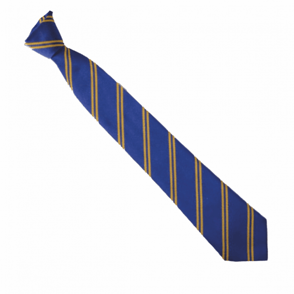 Camp Hill Royal/Gold School Tie (Elastic)