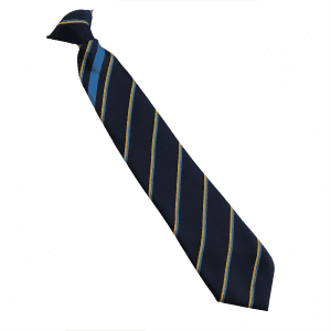 National CofE Academy Blue Chester House Tie 16"