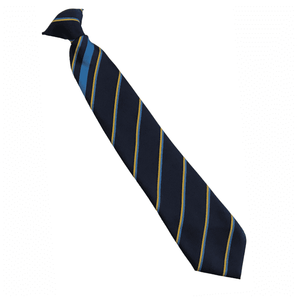 National CofE Academy Blue Chester House Tie 16"