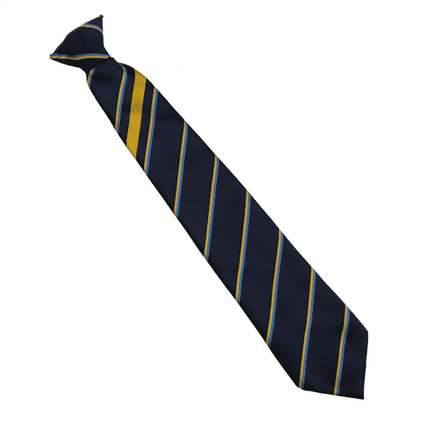 National CofE Academy Yellow York House Tie 16"