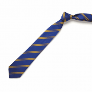 Camp Hill Royal/Gold School Tie (45")