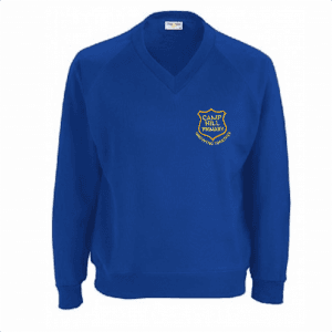 Camp Hill Royal Blue V-Neck Sweatshirt w/Logo