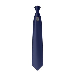 The Queen Elizabeth Academy Year 11 Tie