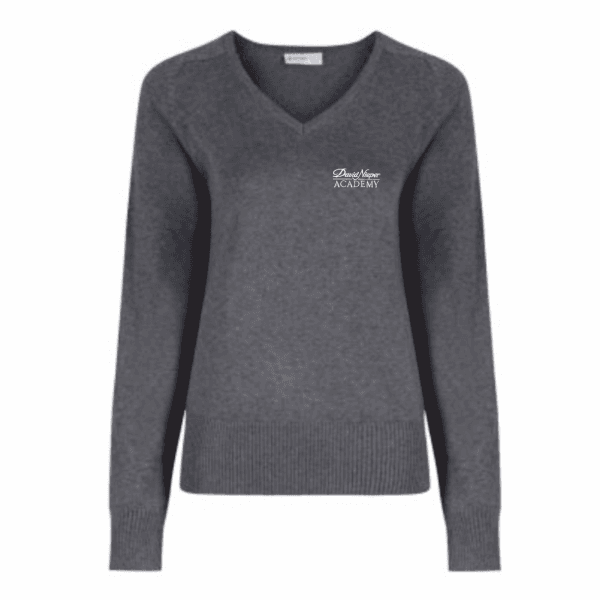 David Nieper Girls Grey V-Neck Pullover w/Logo