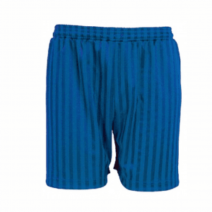 David Nieper Royal Blue Sports Shorts