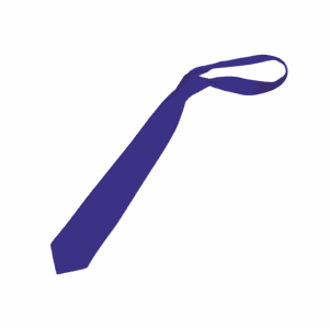 Canon Popham School Tie 39"