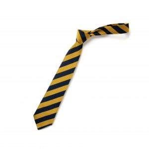Colston Bassett School Tie