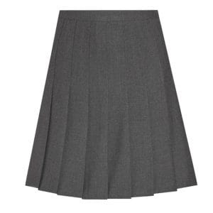 Pleated Grey Skirt