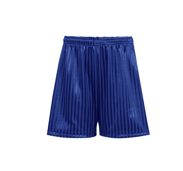Dark Royal Shadow Stripe Shorts