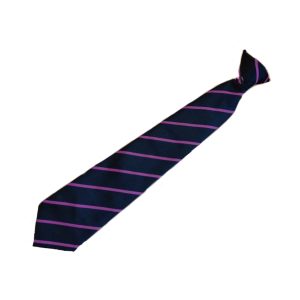 Frederick Gent School Tie