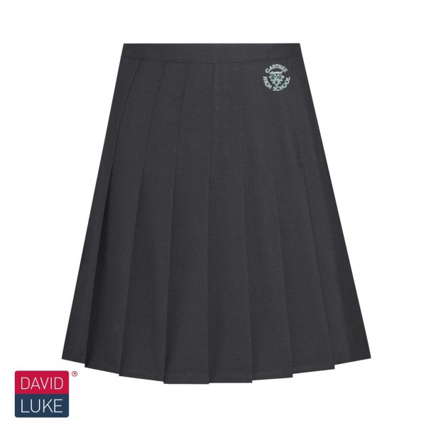 Gatree High School Pleated Skirt w/Logo