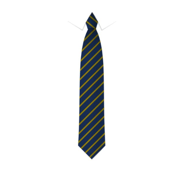Higham Lane North Academy Tie