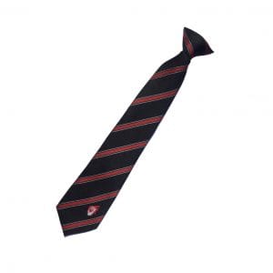 Hall Cross Academy School Tie