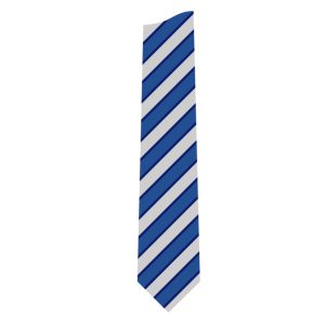 Hall Park Academy Tie BLUE