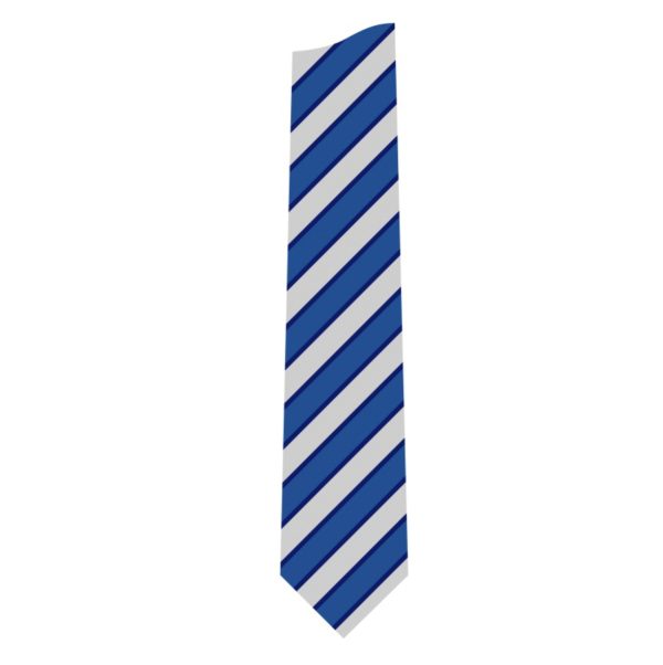 Hall Park Academy Tie BLUE
