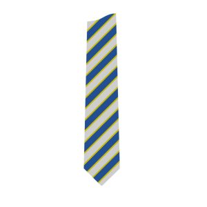 Hall Park Academy Tie YELLOW