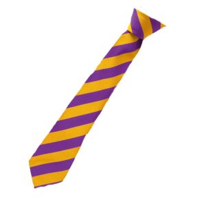 Iveshead School Tie