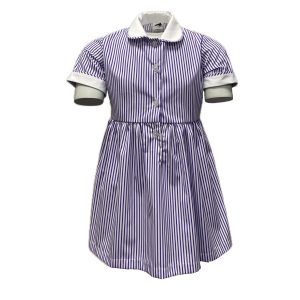 LHS Summer Dress