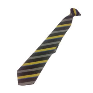 Manor High Watermead House (Sky Blue) Clip-On Tie
