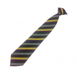 Manor High Bradgate House (Purple) Clip-On Tie