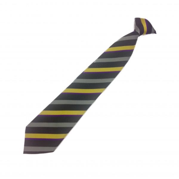 Manor High Bradgate House (Purple) Clip-On Tie