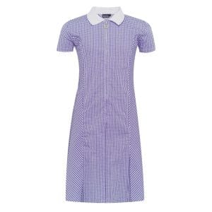 Mansfield Primary Summer Dress