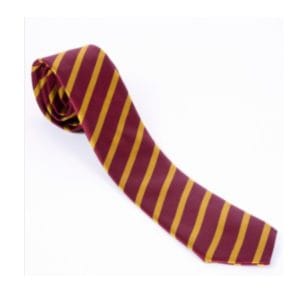 Nicholas Chamberlaine School Tie
