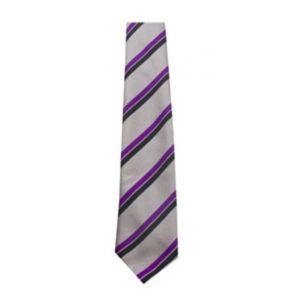 Nottingham Girls Academy School Tie