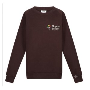 Napton School Sweatshirt w/Logo