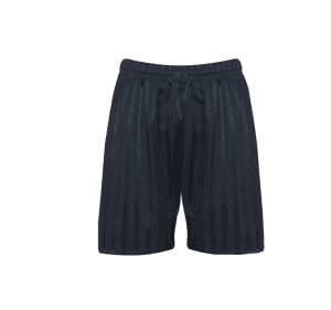 Navy Micro Stripe Shorts