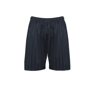 Navy Micro Stripe Shorts