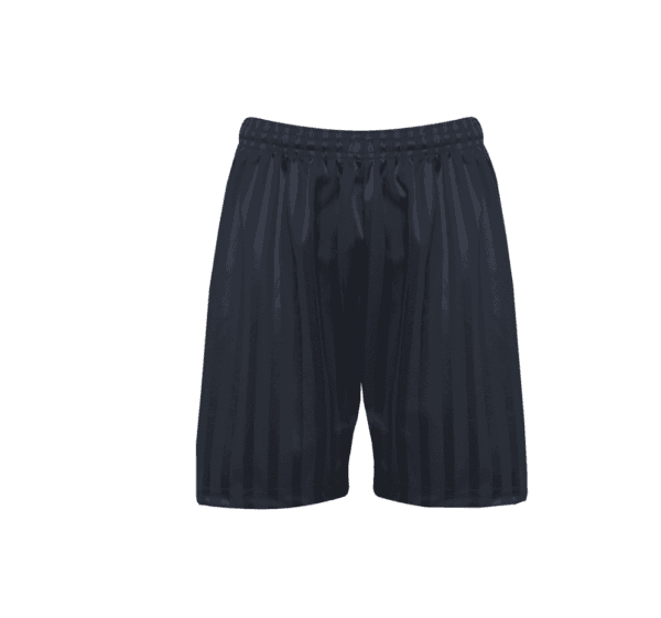 Navy Micro Stripe Shorts