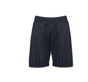Navy Shadow Stripe Shorts