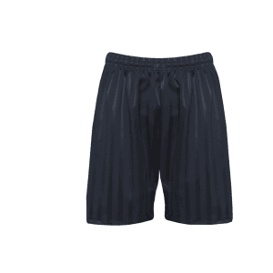 Navy Shadow Stripe Shorts