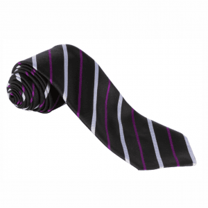 Nottingham High School Junior House Tie 45" - Tonkin
