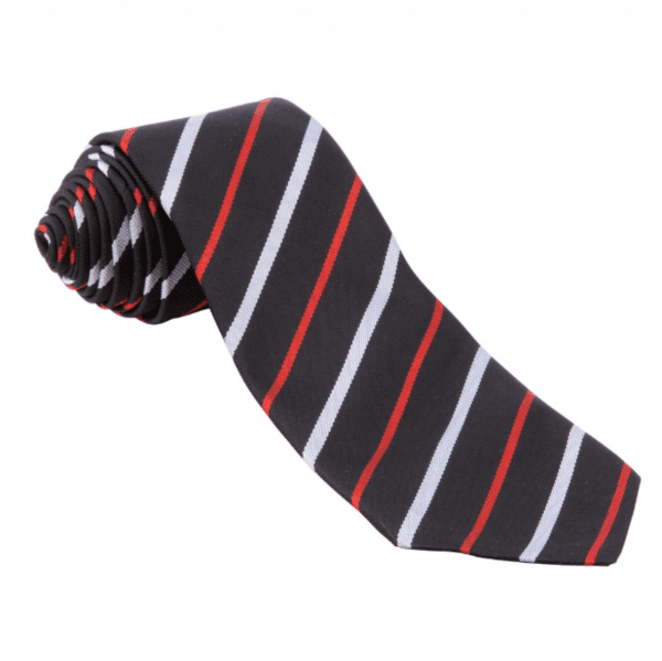 Nottingham High School Junior House Tie 45" - Trease
