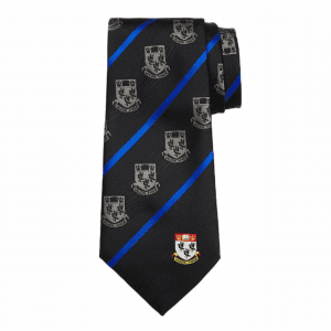 Nottingham High School Senior House Tie 54" - Cooper