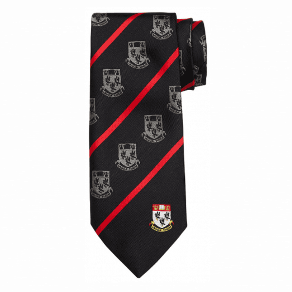 Nottingham High School Senior House Tie 54" - White
