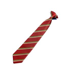 Oakwood Academy Green House Tie