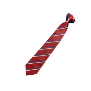 Oakwood Academy Blue House Tie