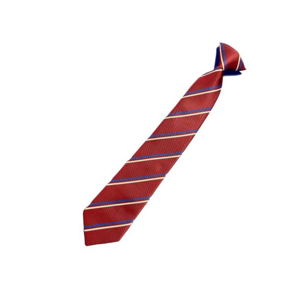 Oakwood Academy Blue House Tie