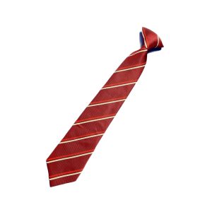 Oakwood Academy Red House Tie