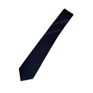 Orchard Mead Academy House Tie - Purple