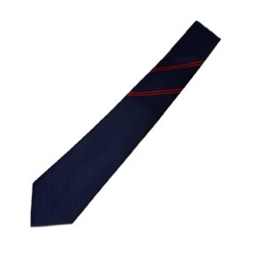 Orchard Mead Academy House Tie - Red