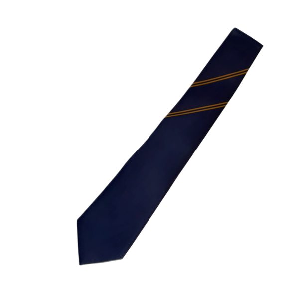 Orchard Mead Academy House Tie - Yellow
