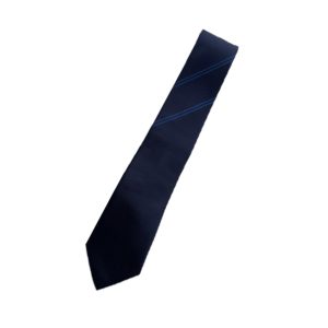 Orchard Mead Academy House Tie - Royal