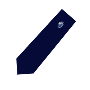 Race Leys School Tie