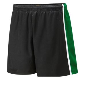 Robert Smyth Academy Game Shorts