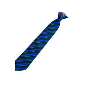 Sir Thomas Wharton Green Brodsworth House Tie