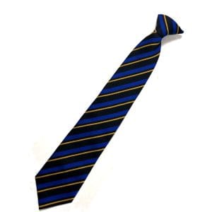 Sir Thomas Wharton Gold Chatsworth House Tie